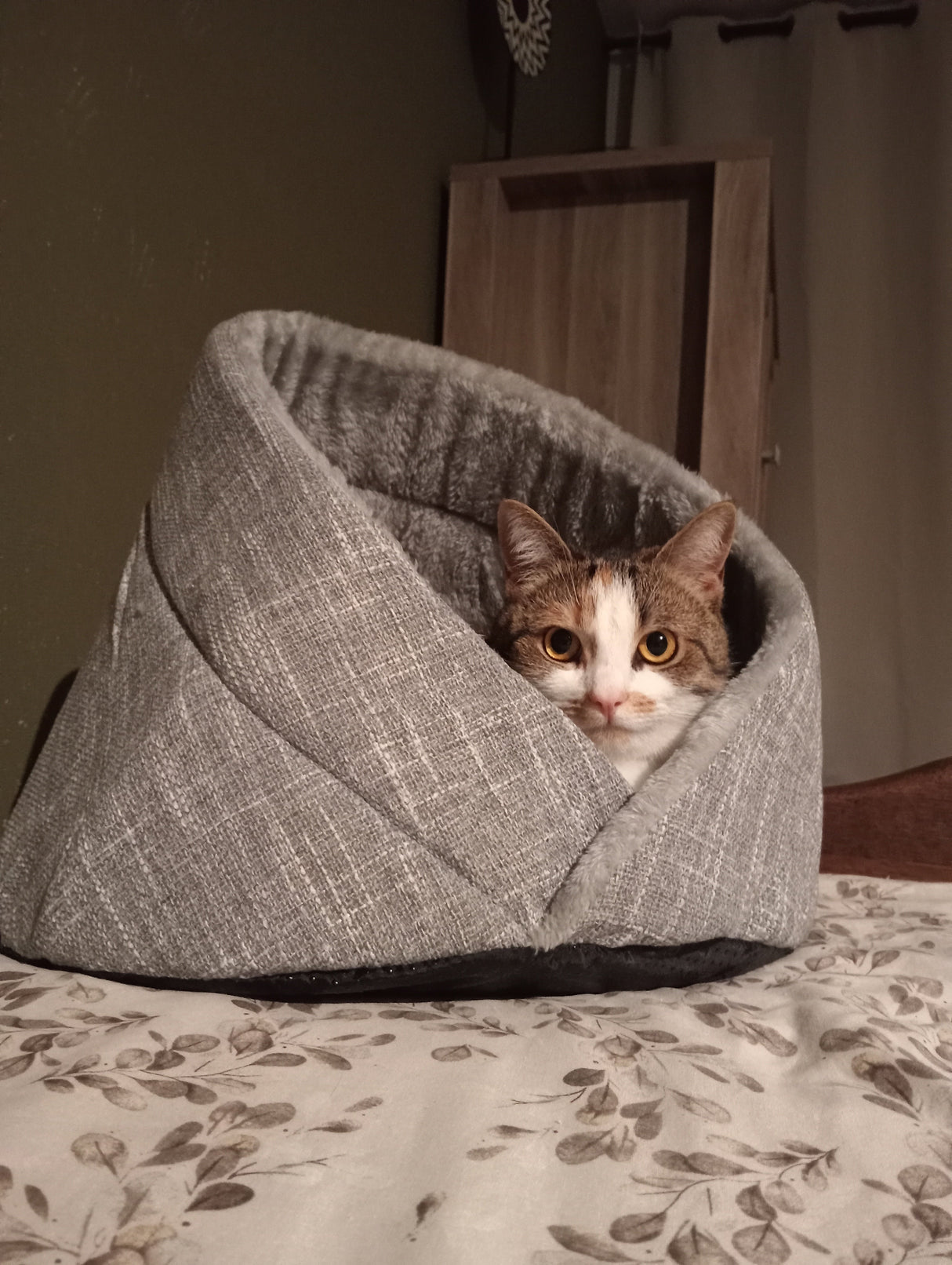 Momo kattenbed - kattenmand