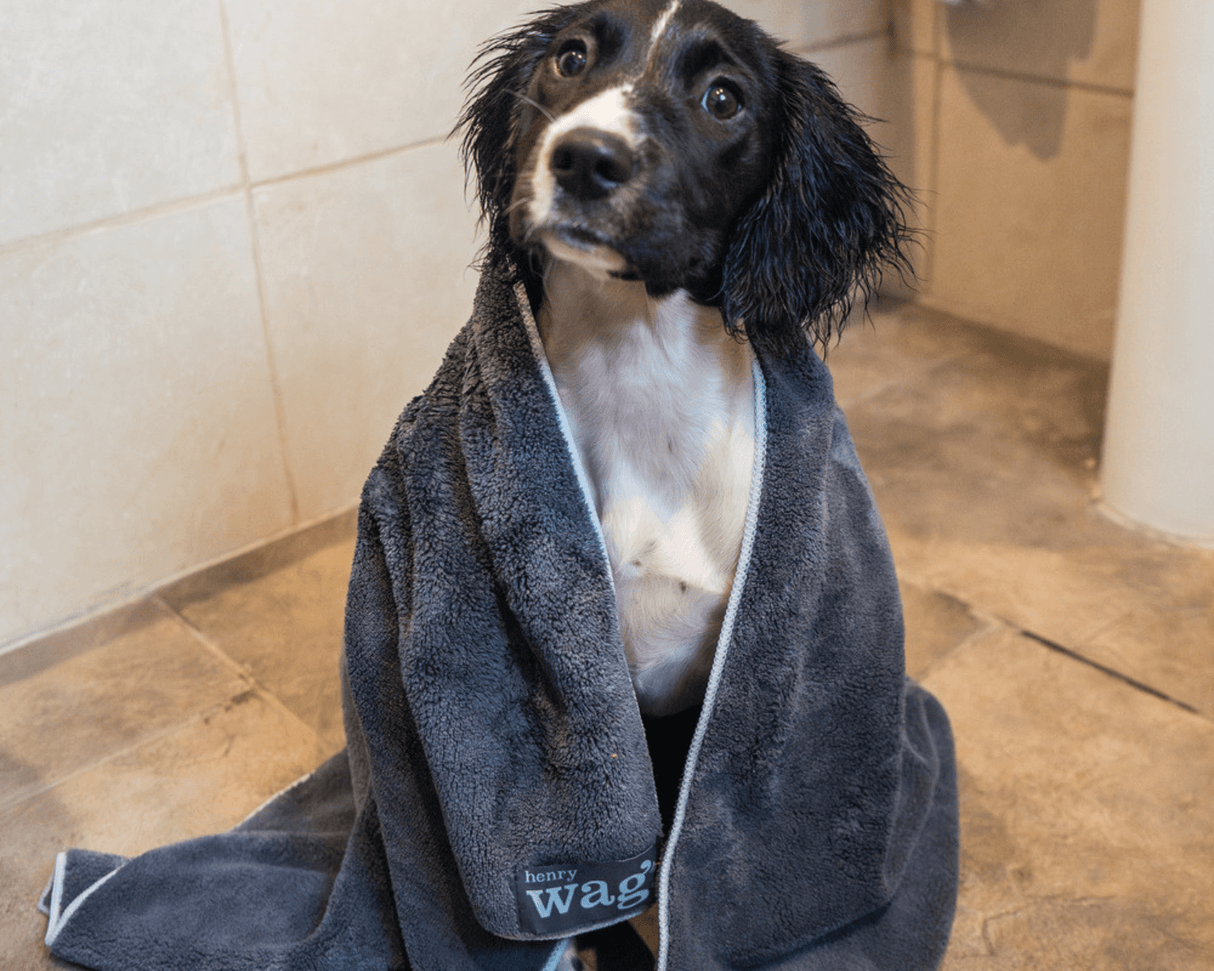 Henry Wag honden droogzak - microvezel - Maat S