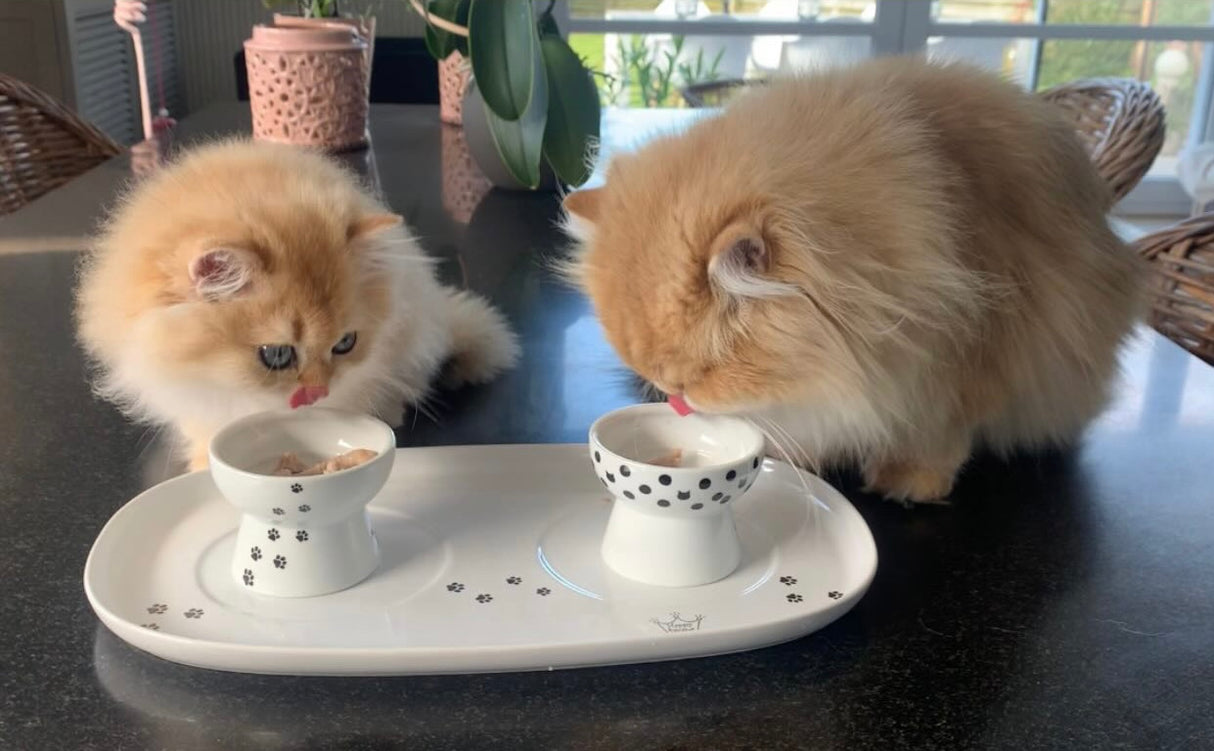 Necoichi dienblad inclusief twee voerbakjes voor katten