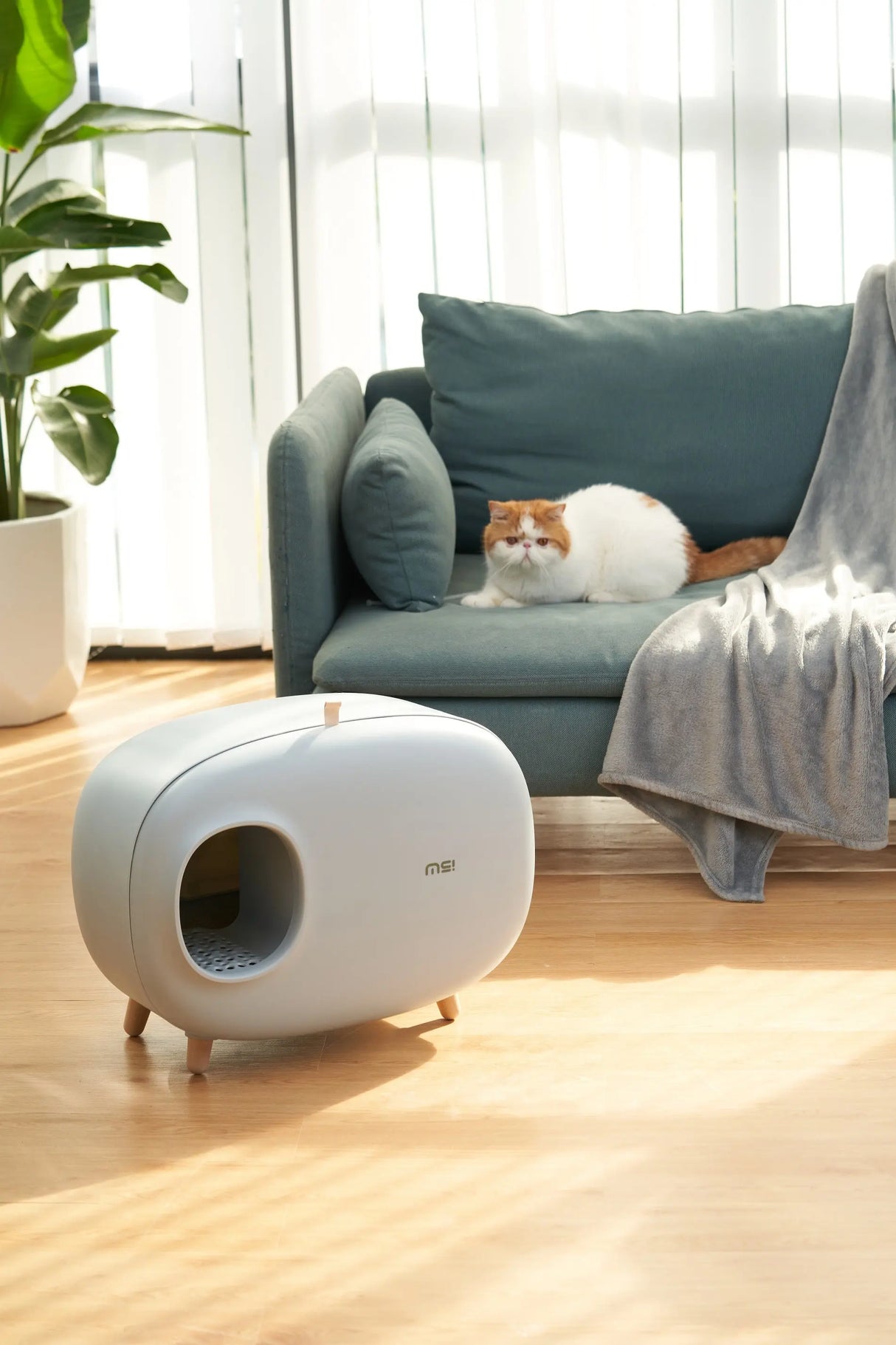 Kattenbak - designprijs winaar - one size fits all - licht blauw - SpirePets