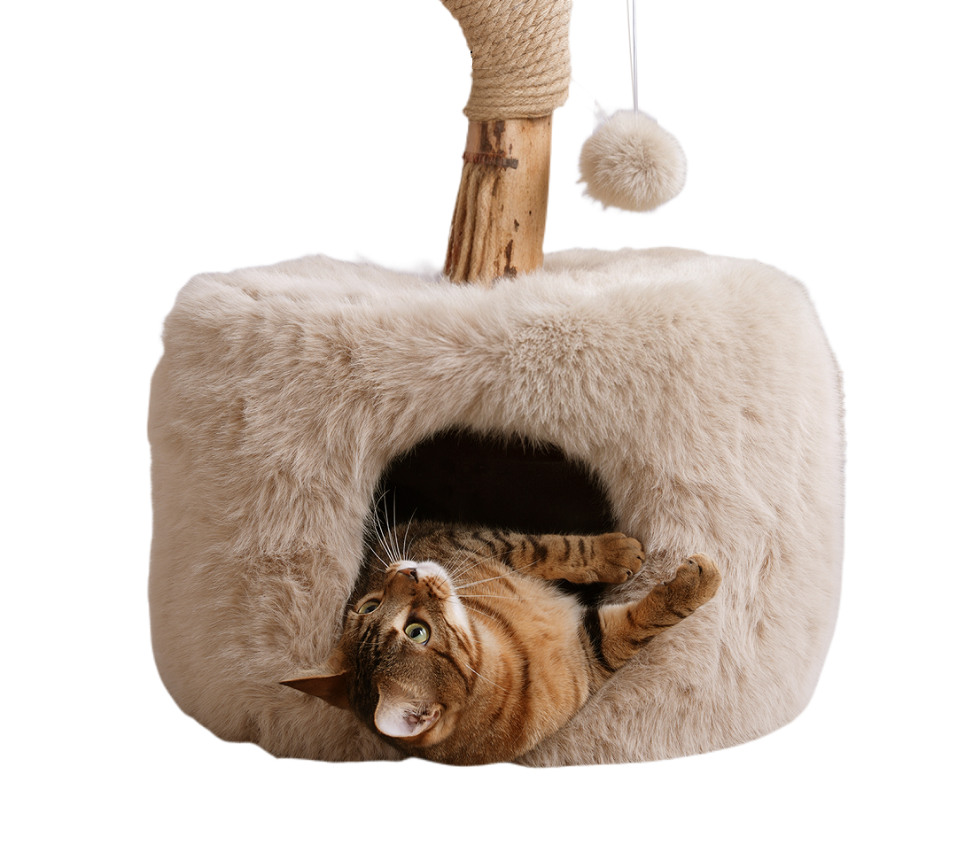 ISLA krabpaal met kattenhuis en kattenmand