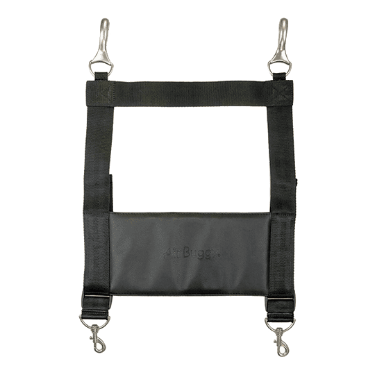 ISOFIX riem voor de DOME 3 van AirBuggy