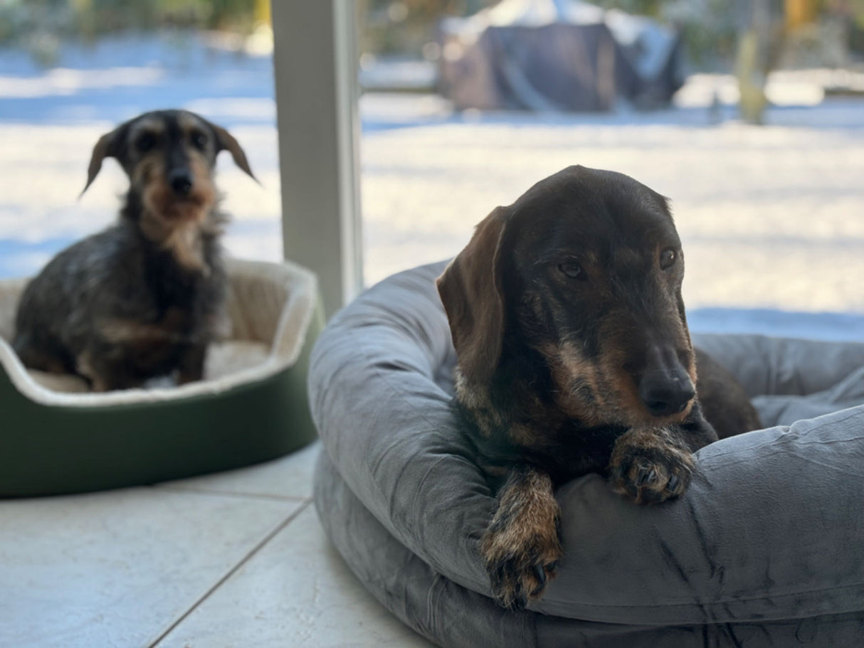 Hondenbank Tomas - Honden sofa