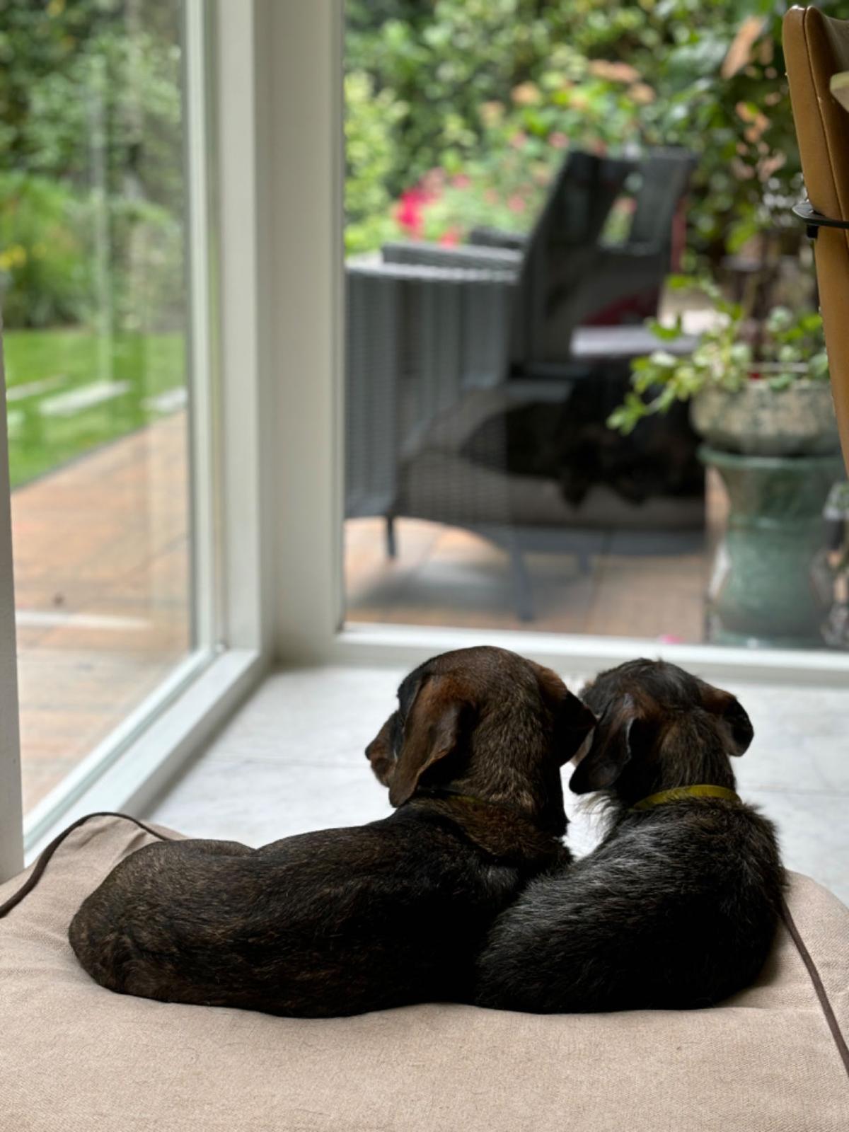 Hondenkussen Rudy - Beige & Bruin - Anti-slip