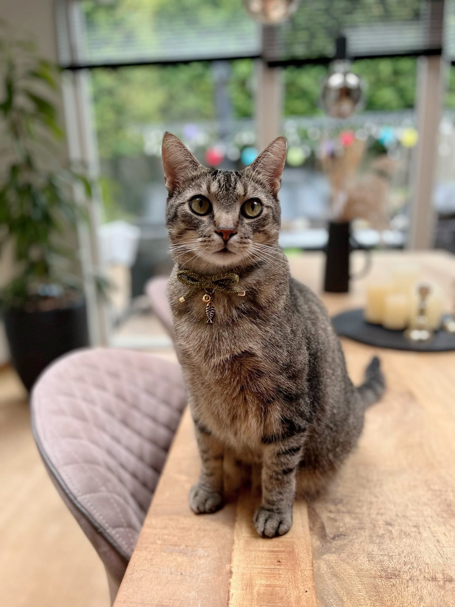 Necoichi cat collar Red with Fish charm Adjustable from 20 to 35cm