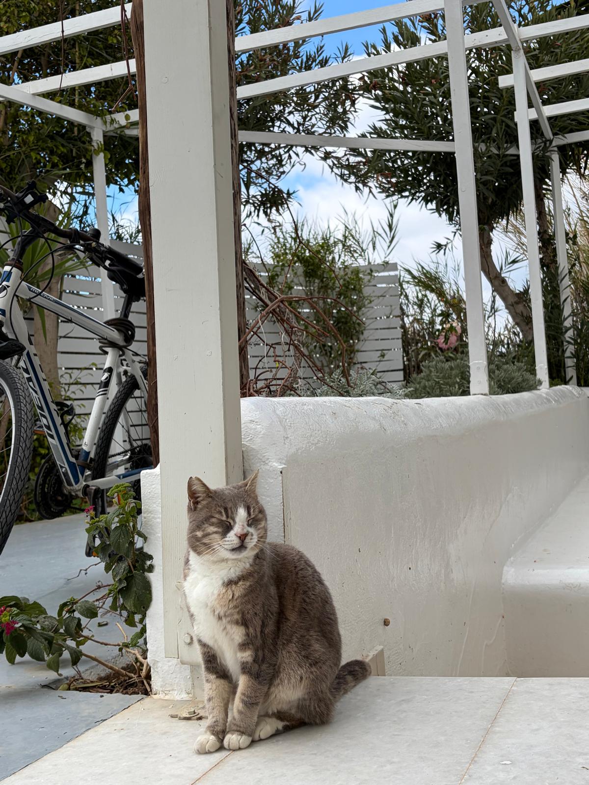 Henry Wag Dog Drying Bag - Microfiber - Size S