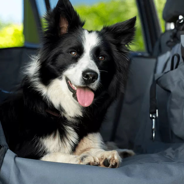 Henry Wag huisdier auto hangmat - autodeken voor hond XL