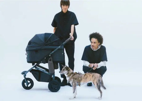 Nieuw in onze winkel AirBuggy huisdier wandelwagens SpirePets