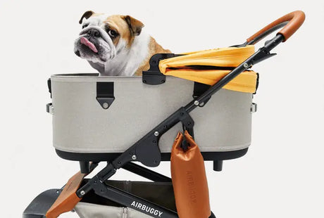 Fris de lente in met de AIRBUGGY in nieuwe kleuren SpirePets