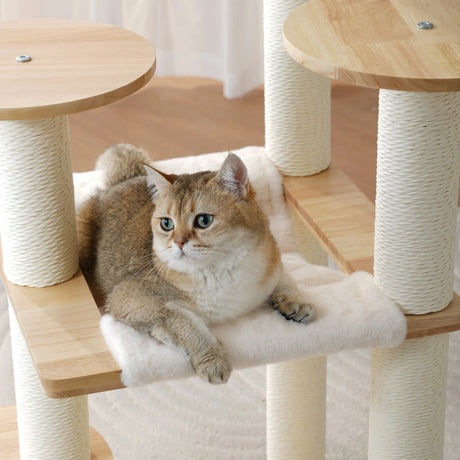 Krabpalen voor Katten: De Ultieme Gids voor Design Krabpalen in 2026 SpirePets