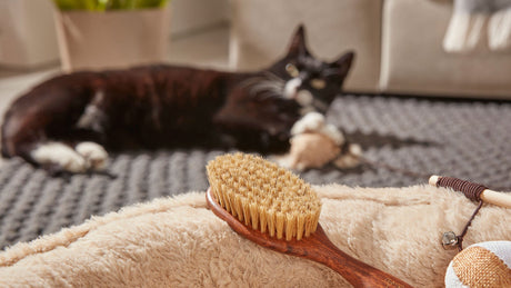 Verharingsseizoen bij honden en katten - Tips & verzorging