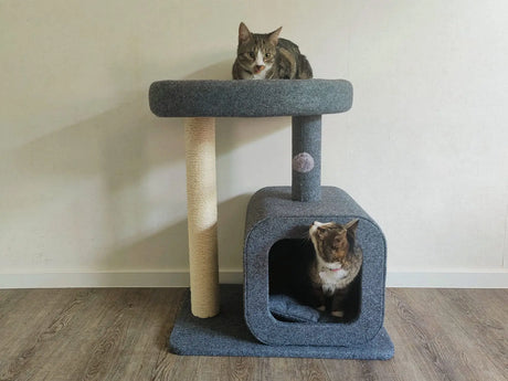 SpirePets Krabpaal met huisje en extra groot ligoppervlak SpirePets