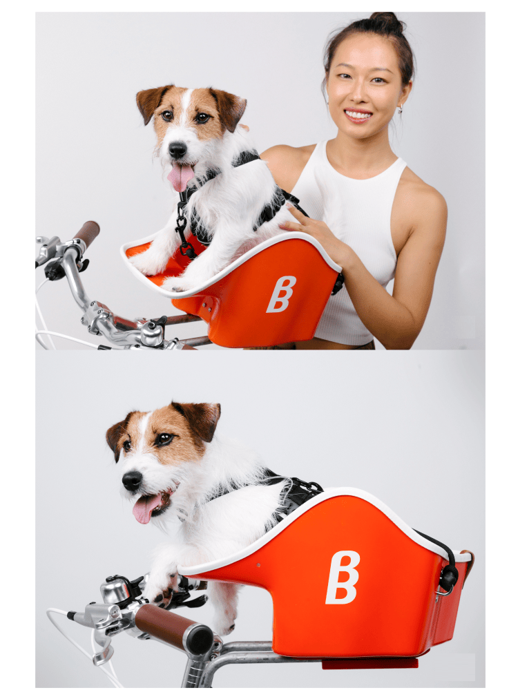 Brooke & Breeze Canine Copilot - Ember Light Orange