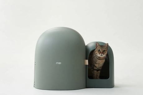 Kattenbak - grote ruimte - inclusief kattebakschepje - lekvrij  - geurvrij - one size fits all - SpirePets