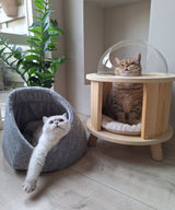 Momo cat bed for cats and small dogs - cute and comfortable