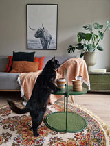 Katten krabplank - one size fits all - 3 in 1 krabmeubel - mossgroen - SpirePets