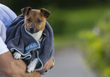 Henry Wag huisdier handdoek voor honden en katten - Maat S