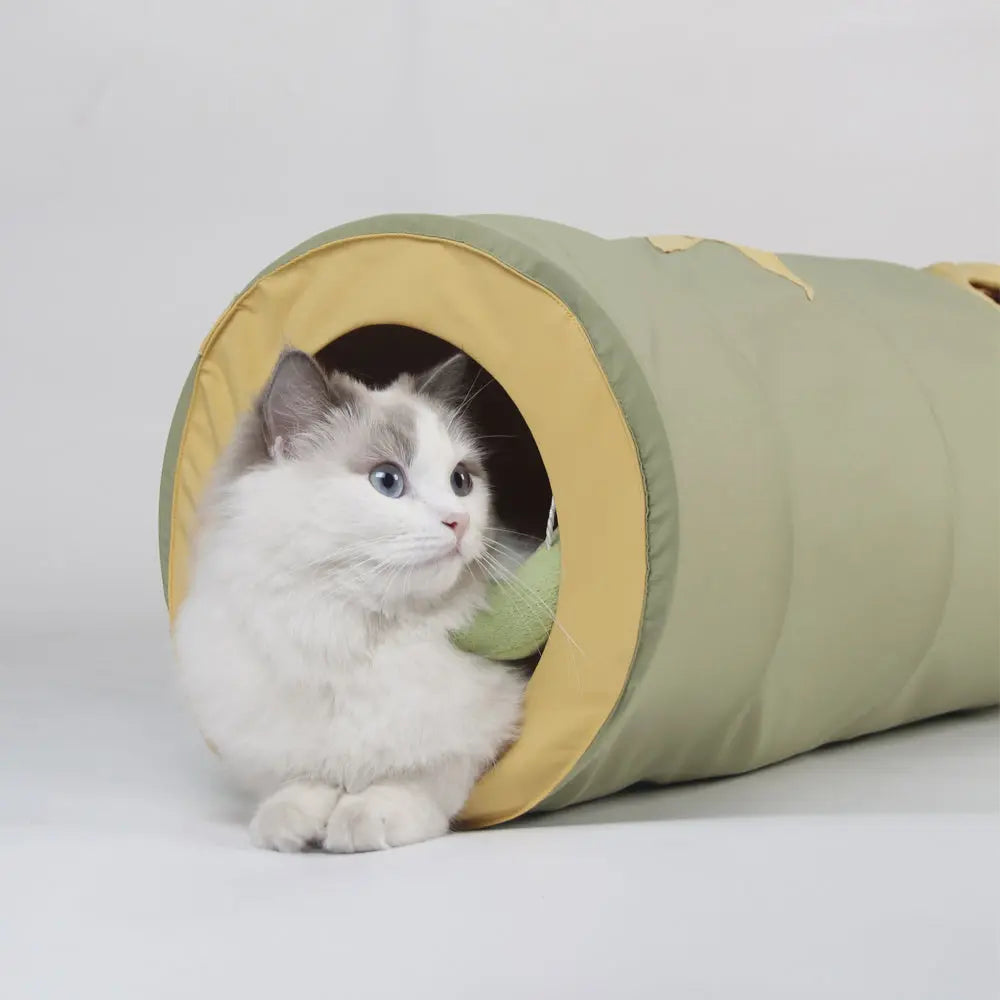 Kattenspeelgoed - speeltunnel met meerdere gaten - voor katten < 10kg - legergroen - SpirePets