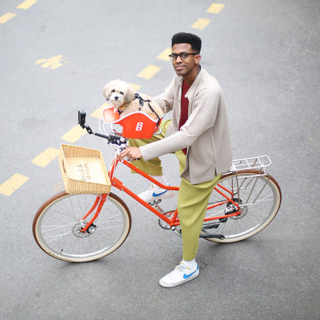 Brook & Breeze Canine Copilot - Fietsstoel voor hond of kat - SpirePets