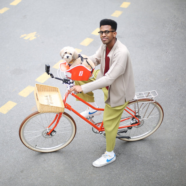 Brook & Breeze Canine Copilot - Fietsstoel voor hond of kat - SpirePets