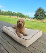 Coussin pour chien Rudy - Beige et Marron - Antidérapant