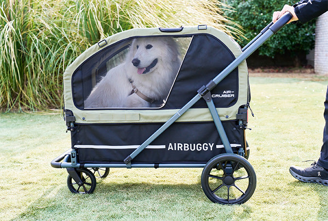 AirBuggy AIR-CRUISER – De Ultieme Premium Hondenbuggy voor Grote Rassen - SpirePets
