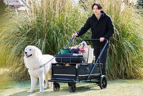 AirBuggy AIR-CRUISER – De Ultieme Premium Hondenbuggy voor Grote Rassen - SpirePets