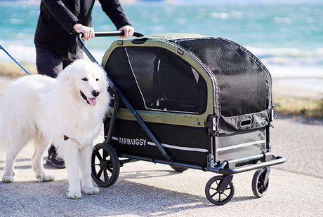 AirBuggy AIR-CRUISER – De Ultieme Premium Hondenbuggy voor Grote Rassen - SpirePets