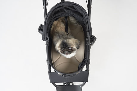 AirBuggy DOME 3 MAT LARGE – MOCHA