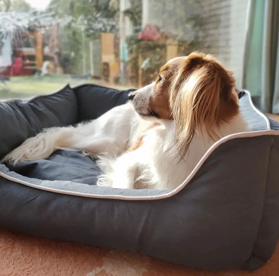 Panier pour chien Bora - lit pour animal de compagnie taille S