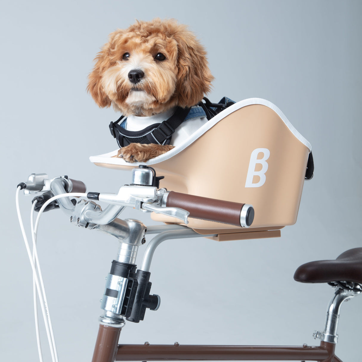 Brook & Breeze Hunde-Copilot – Creme Beige