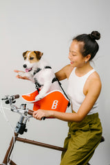 Brooke & Breeze Canine Copilot - Ember Light Orange