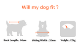 Brooke & Breeze Canine Copilot - Ember Light Orange