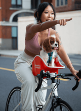 Brooke & Breeze Canine Copilot - Ember Light Orange