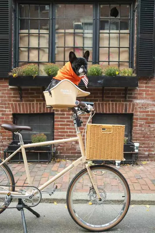 Brooke & Breeze Canine Copilot - Crème Beige