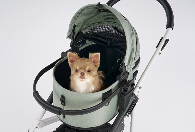 AirBuggy Dome 3 Regular Earth Grey – Poussette pour chien confortable et élégante