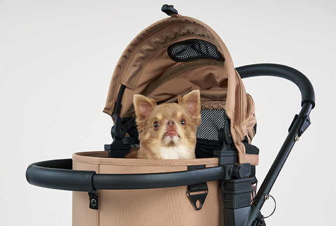 AirBuggy Dome 3 Regular Earth Grey – Poussette pour chien confortable et élégante