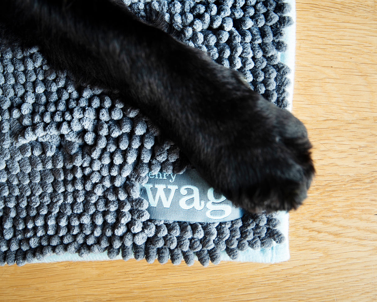 Henry Wag Microvezel Noodle Huisdier Mat - Droogmat voor honden - Maat L