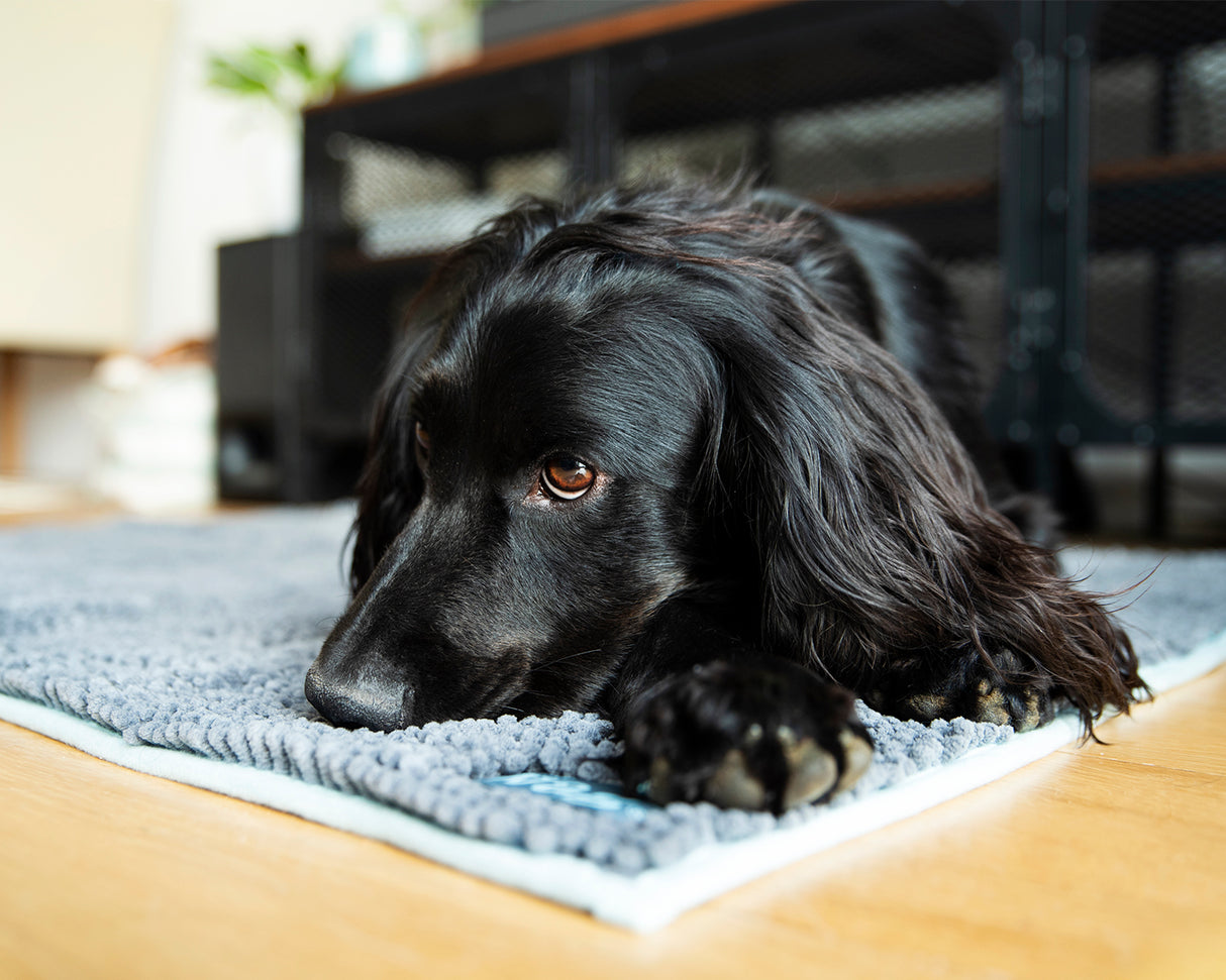 Henry Wag Microvezel Noodle Huisdier Mat - Droogmat voor honden - Maat L