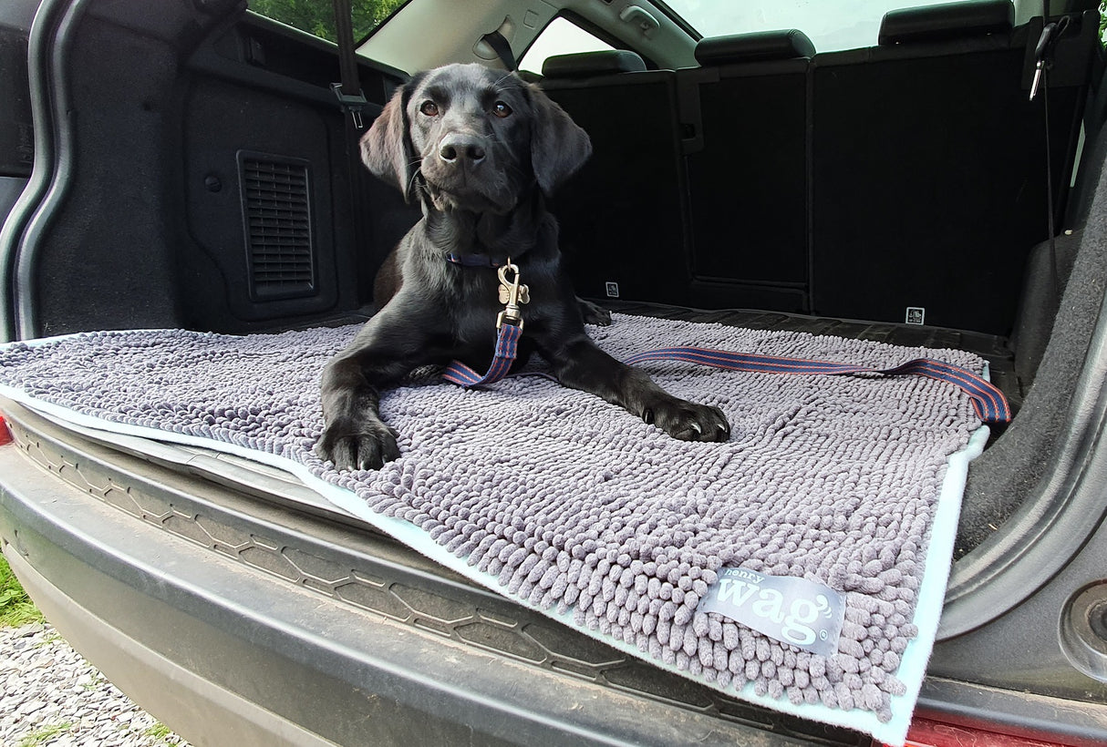 Henry Wag Microvezel Noodle Huisdier Mat - Droogmat voor honden - Maat XL