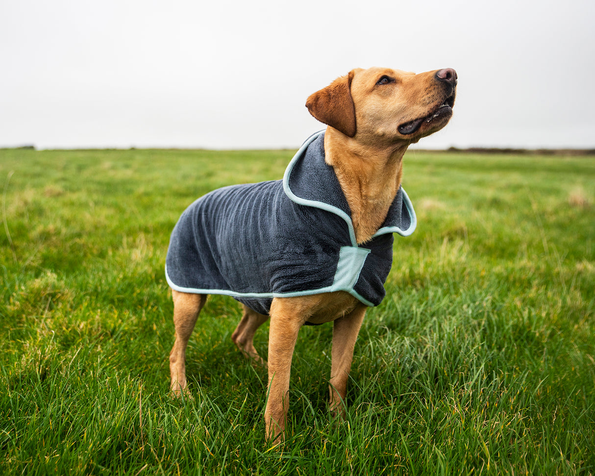 Henry Wag microvezel hondenbadjas - droogjas voor honden - Maat XL