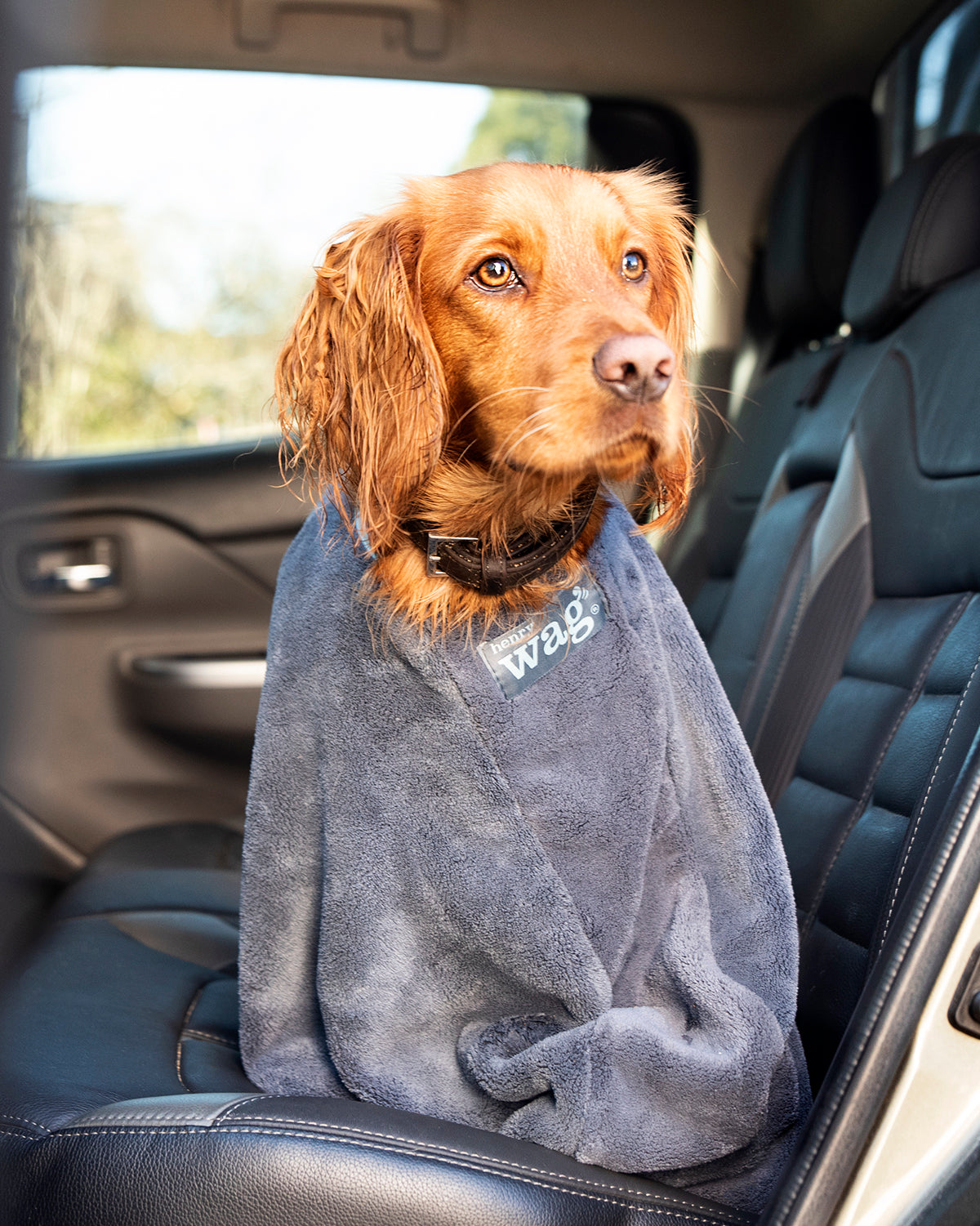 Henry Wag honden droogzak - microvezel - Maat M