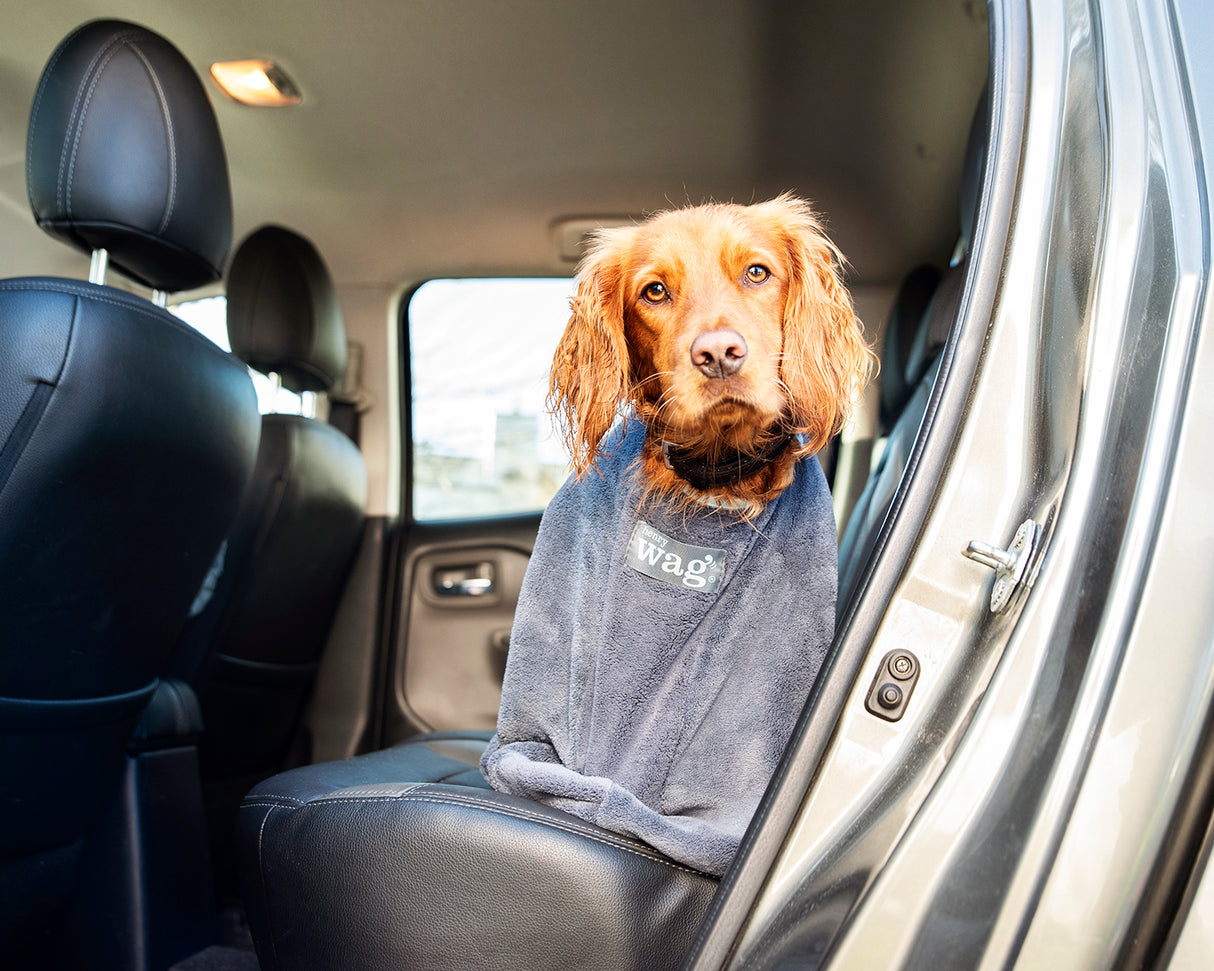 Henry Wag honden droogzak - microvezel - Maat M