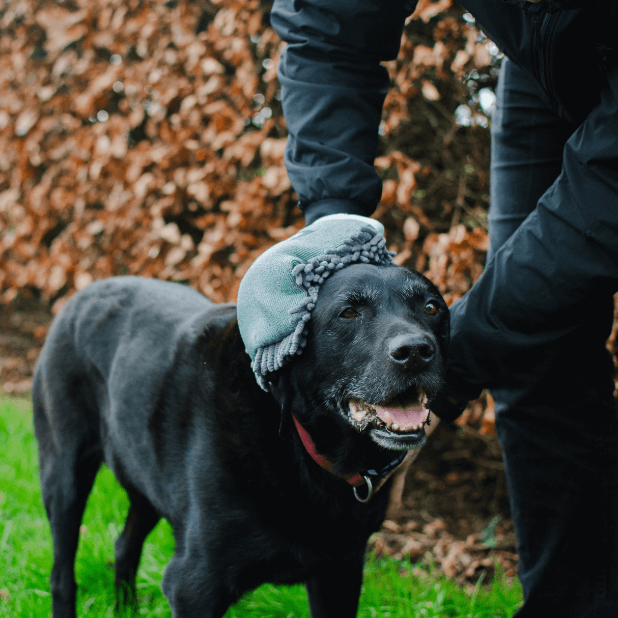 Henry Wag Microvezel huisdier drooghandschoen voor honden