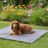 Water-resistant pet bed - Bastiaan dog basket - size S