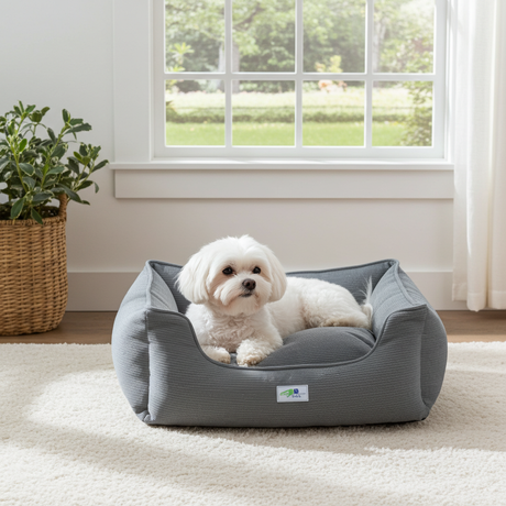 Hondenmand Bastiaan - Ribcord - maat M - SpirePets