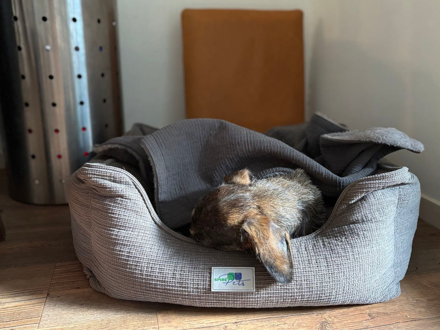 Lit pour animal de compagnie résistant à l'eau | Fond antidérapant | Facile à nettoyer | Bora | Gris foncé | 30x25x14cm | Chiens et chats