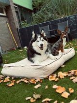 Coussin pour chien Rudy - Beige et Marron - Antidérapant