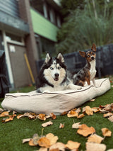 Coussin pour chien Rudy - Beige et Marron - Antidérapant
