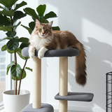 Luxury scratching post for cats - Scratching furniture Cindy - 5 levels - sisal columns and plush bed